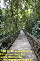 44213 26 054 Veruga Rainforest, Puerto Limon, Costa Rica, Central-Amerika 2022.jpg